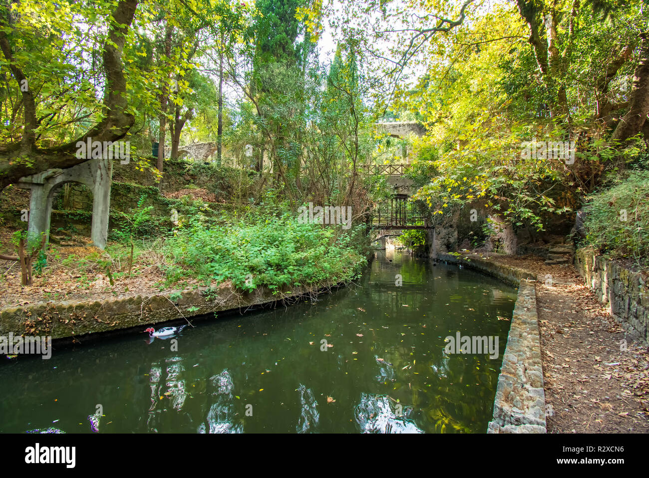 Une petite rivière dans le parc Rodini dans ville de Rhodes (Rhodes, Grèce) Banque D'Images