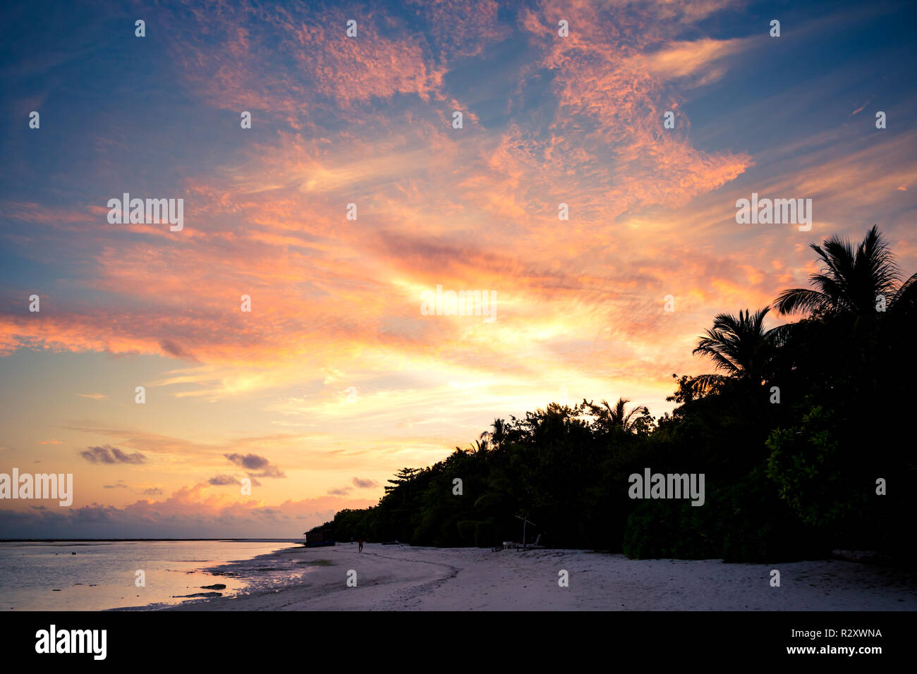 Coucher de soleil lever du soleil sur la plage paysage. Des couleurs incroyables, le ciel et l'eau de mer calme avec des palmiers sur une plage tranquille Banque D'Images