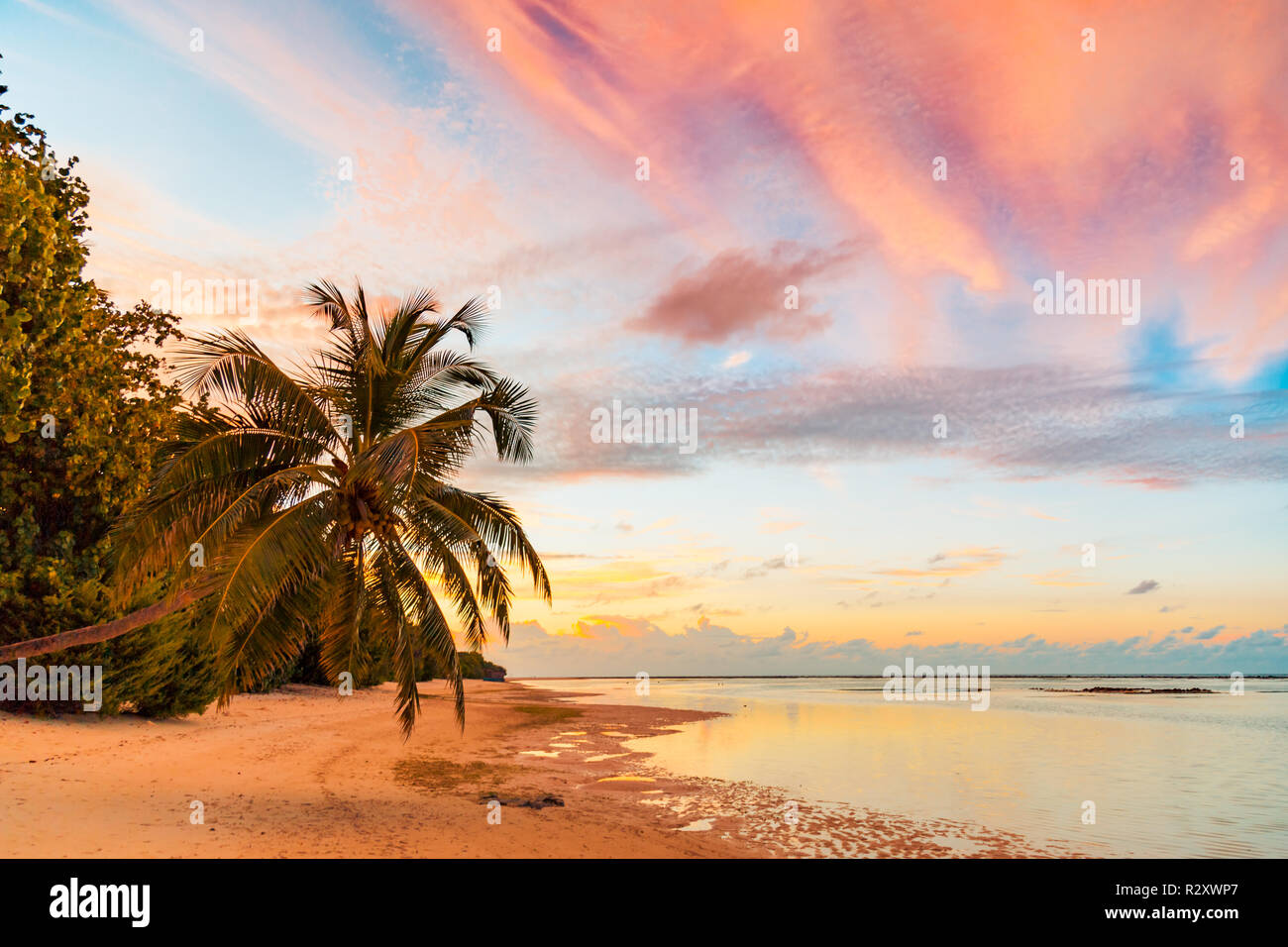 Coucher de soleil lever du soleil sur la plage paysage. Des couleurs incroyables, le ciel et l'eau de mer calme avec des palmiers sur une plage tranquille Banque D'Images
