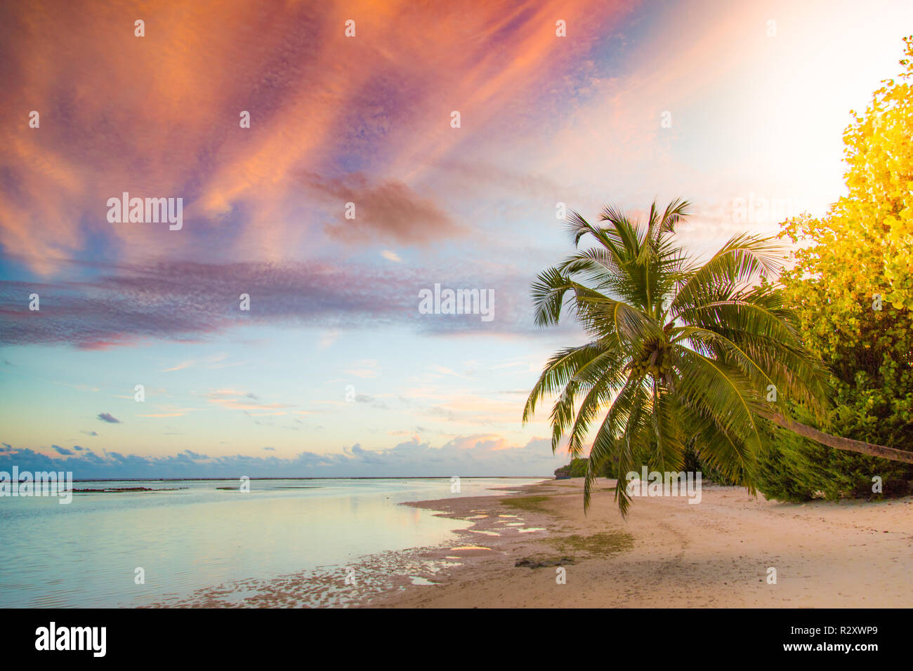 Coucher de soleil lever du soleil sur la plage paysage. Des couleurs incroyables, le ciel et l'eau de mer calme avec des palmiers sur une plage tranquille Banque D'Images