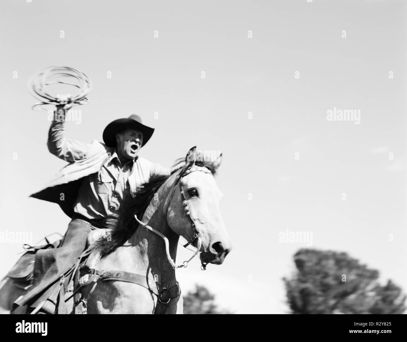Montant un cheval de cow-boy à maturité et de se balancer d'un lasso à l'extérieur. Banque D'Images