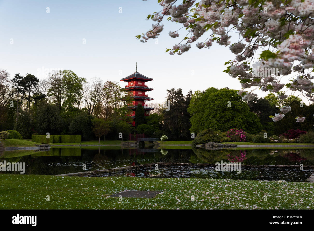 Vue sur le jardin royal avec fleurs de cerisier et le tour japonais se reflétant dans l'étang Banque D'Images