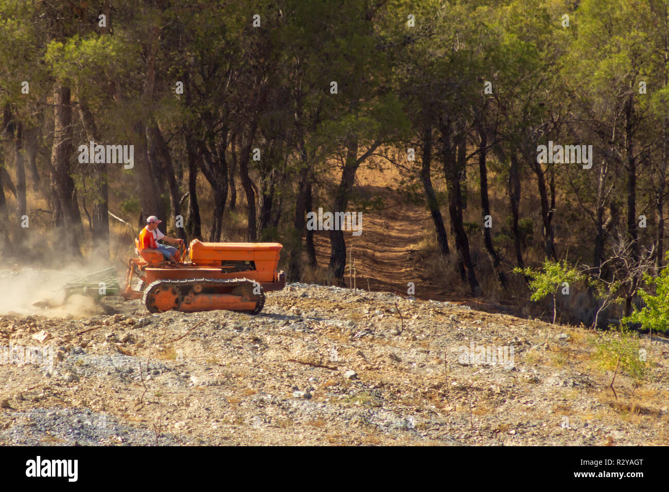 Tracteur à chenilles Fiat 605C labourant une pente Almond Grove, vallée d'Almanzora, province d'Almeria, Andalousie, Espagne Banque D'Images