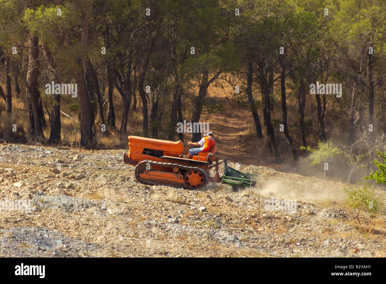 Tracteur à chenilles Fiat 605C labourant une pente Almond Grove, vallée d'Almanzora, province d'Almeria, Andalousie, Espagne Banque D'Images