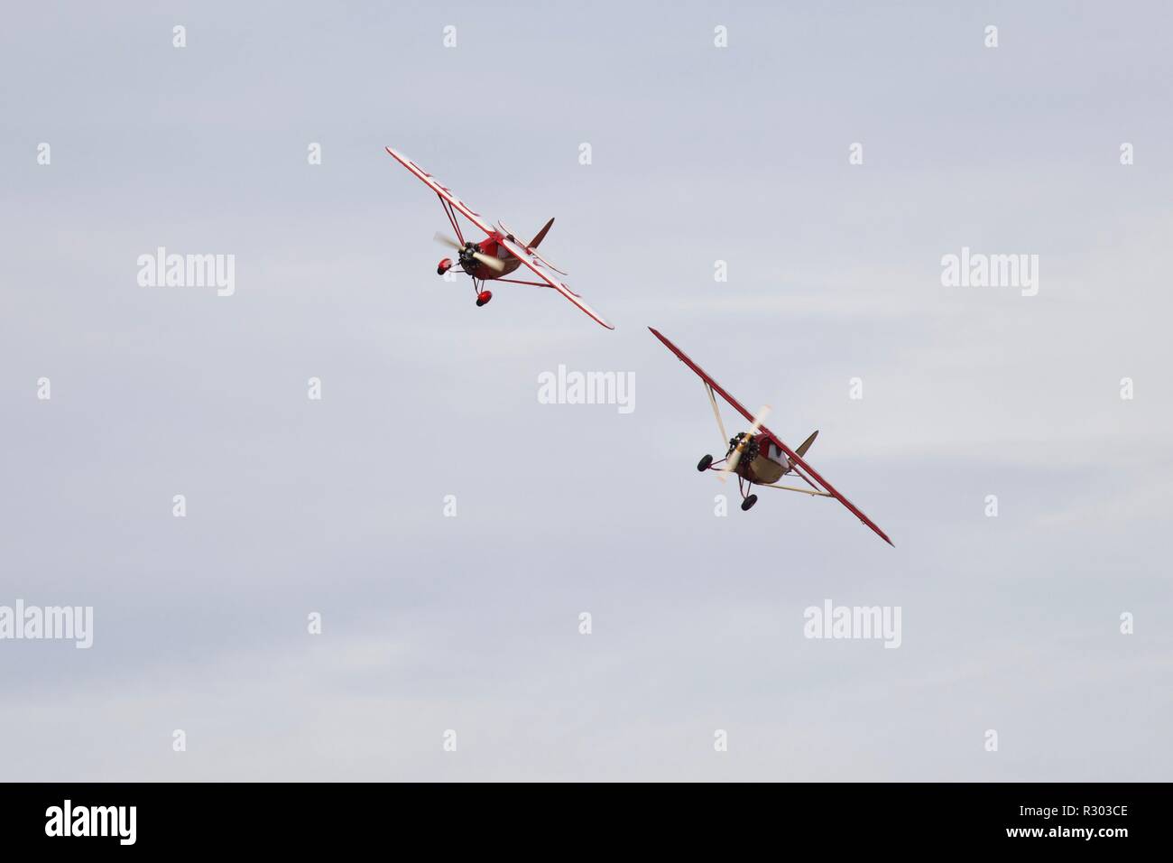 2 Comper martinets battant à Old Warden Banque D'Images