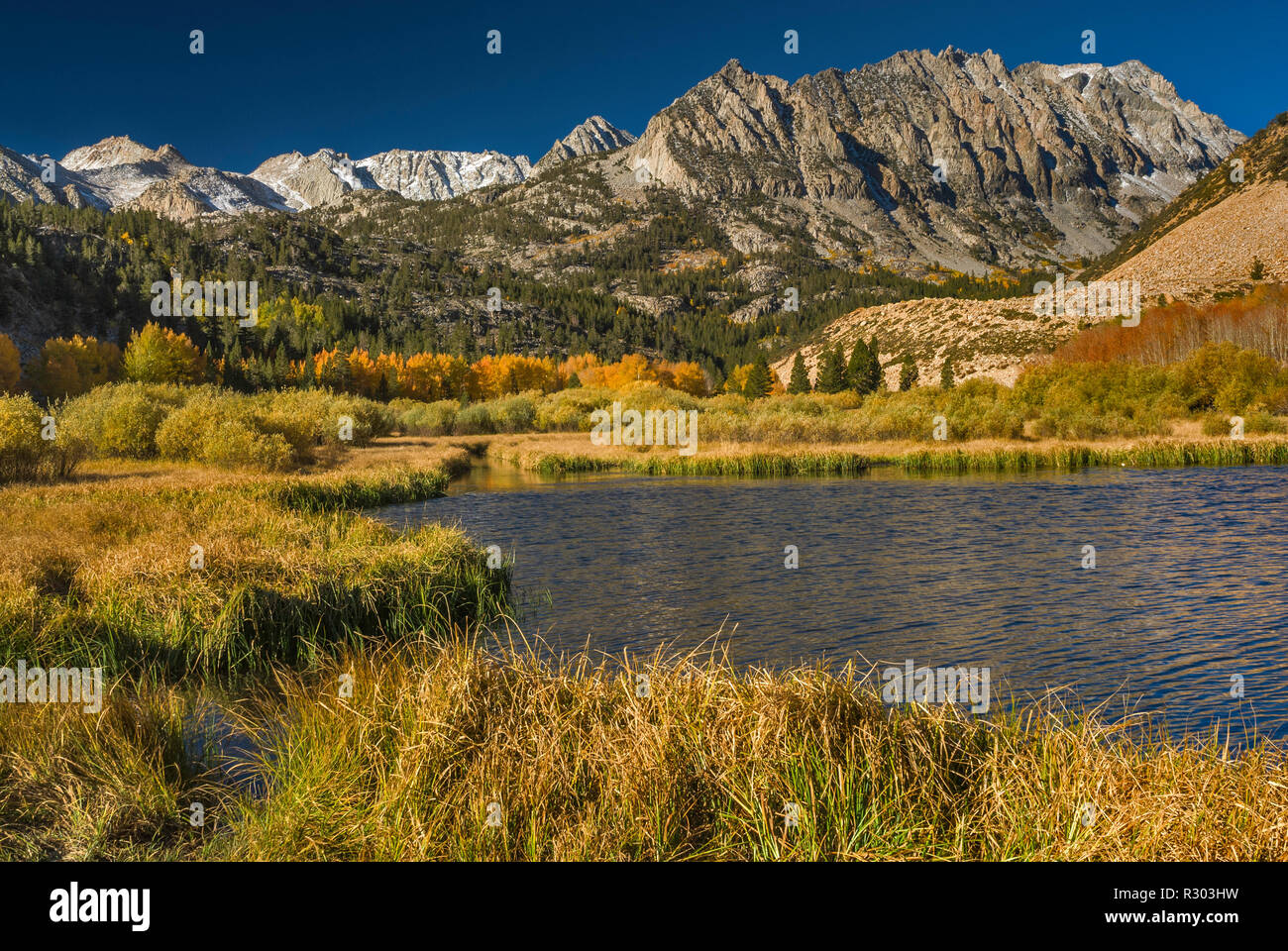 Dans le bassin nord du lac Sabrina en automne Mt. En ce qui concerne l'évolution Lamarck distance Région, John Muir Wilderness, est de la Sierra Nevada, Californie, USA Banque D'Images