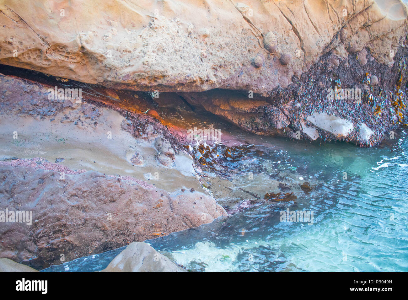 Des tourbillons d'eau au milieu des rochers d'une marée profonde piscine à Coos Bay, Oregon. Banque D'Images