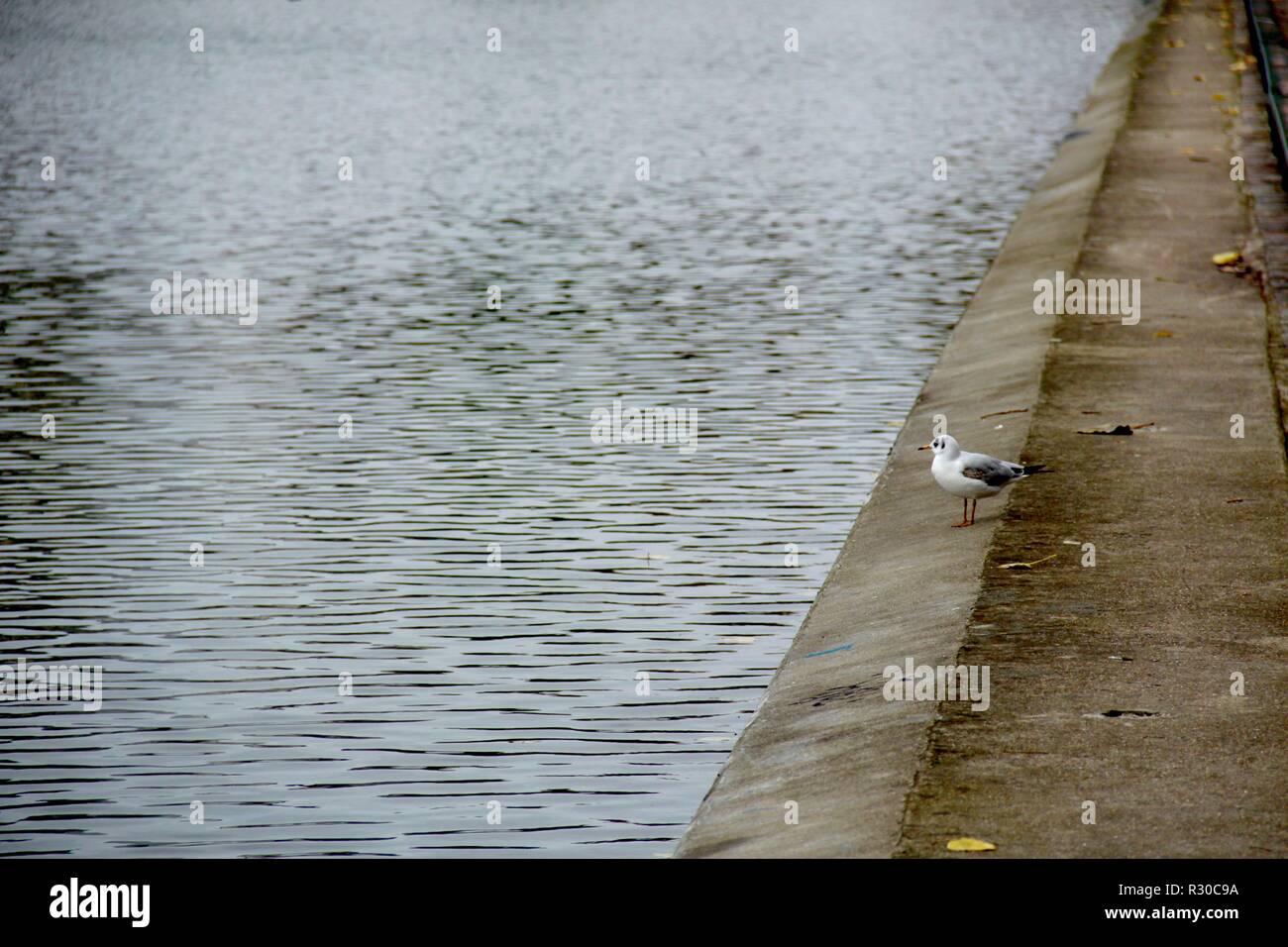 Bassin de la Villette, Paris. Banque D'Images