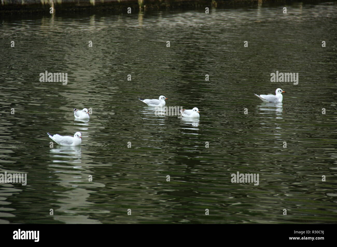 Bassin de la Villette, Paris. Banque D'Images