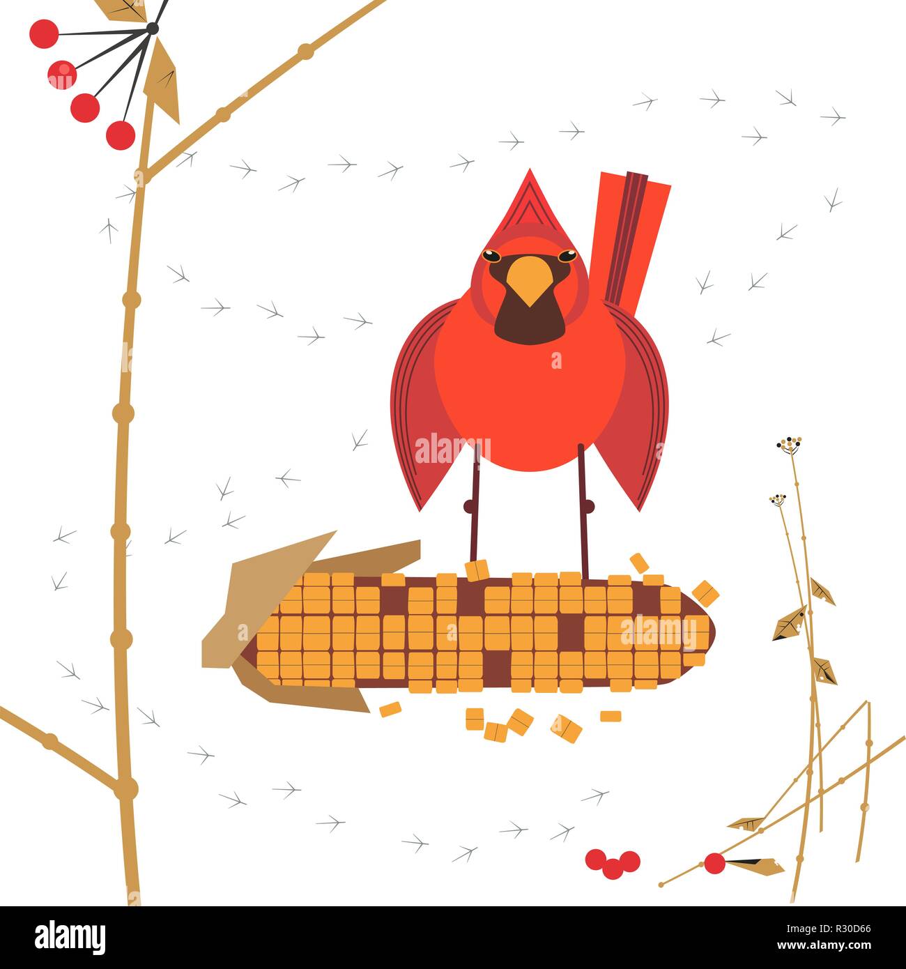 Mignonne oiseau cardinal rouge du Nord se nourrissant de graines de maïs Illustration de Vecteur