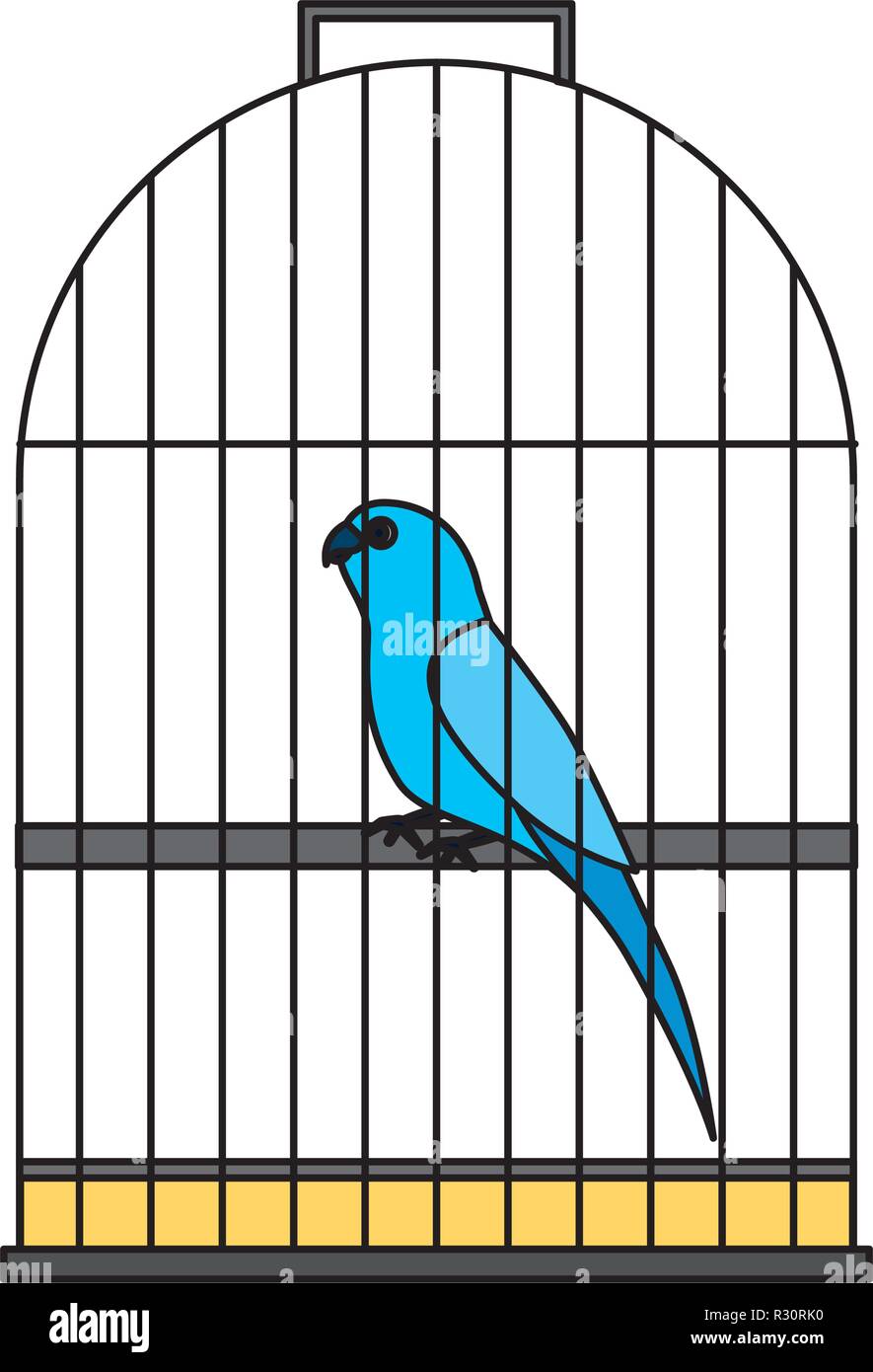 Pet Shop bird cage sur vector illustration Illustration de Vecteur