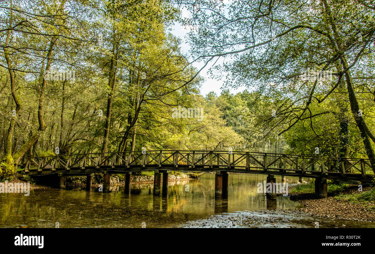 Pont en bois Banque D'Images