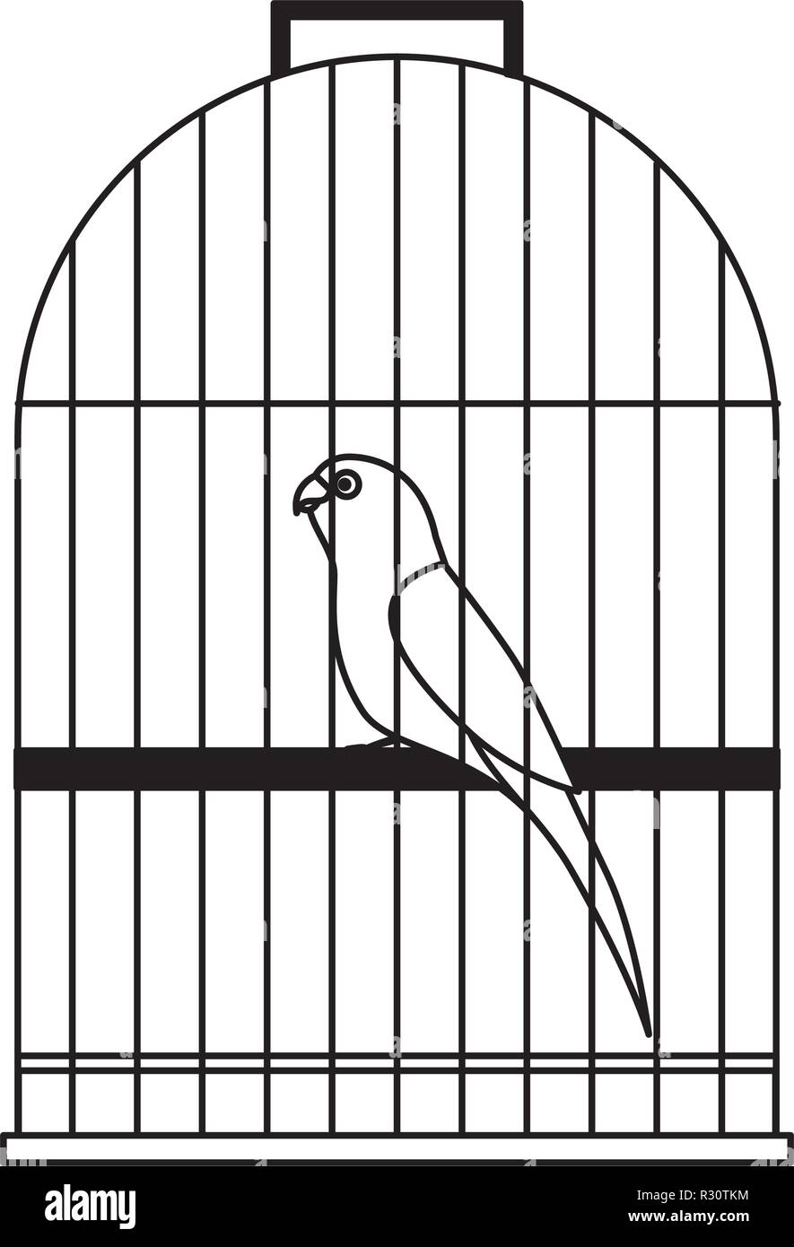 Pet Shop bird cage sur vector illustration Illustration de Vecteur