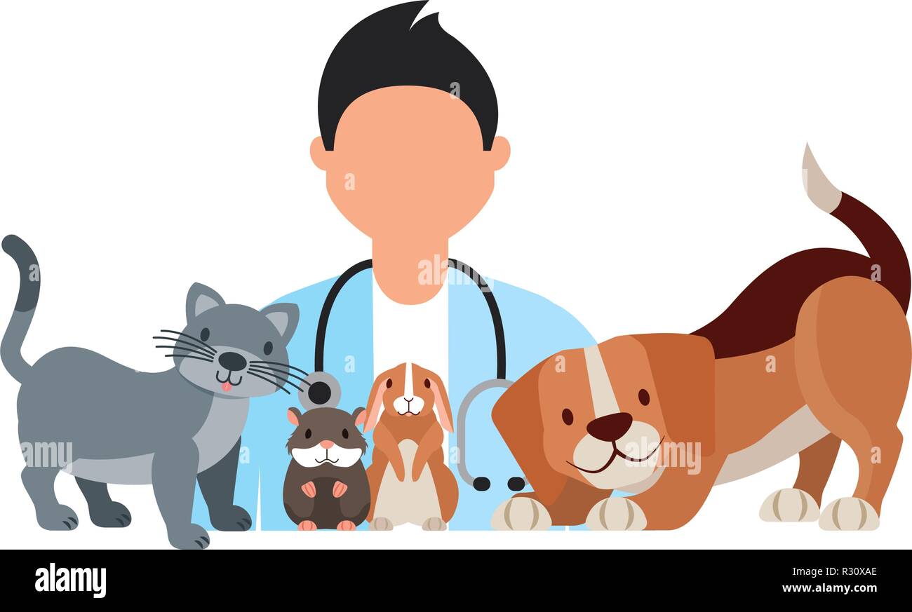 Docteur Chien Chat Hamster Lapin Clinique Veterinaire Vector Illustration Image Vectorielle Stock Alamy Docteur Chien Chat Hamster Lapin Clinique Veterinaire Vector Illustration Image Vectorielle Stock Alamy
