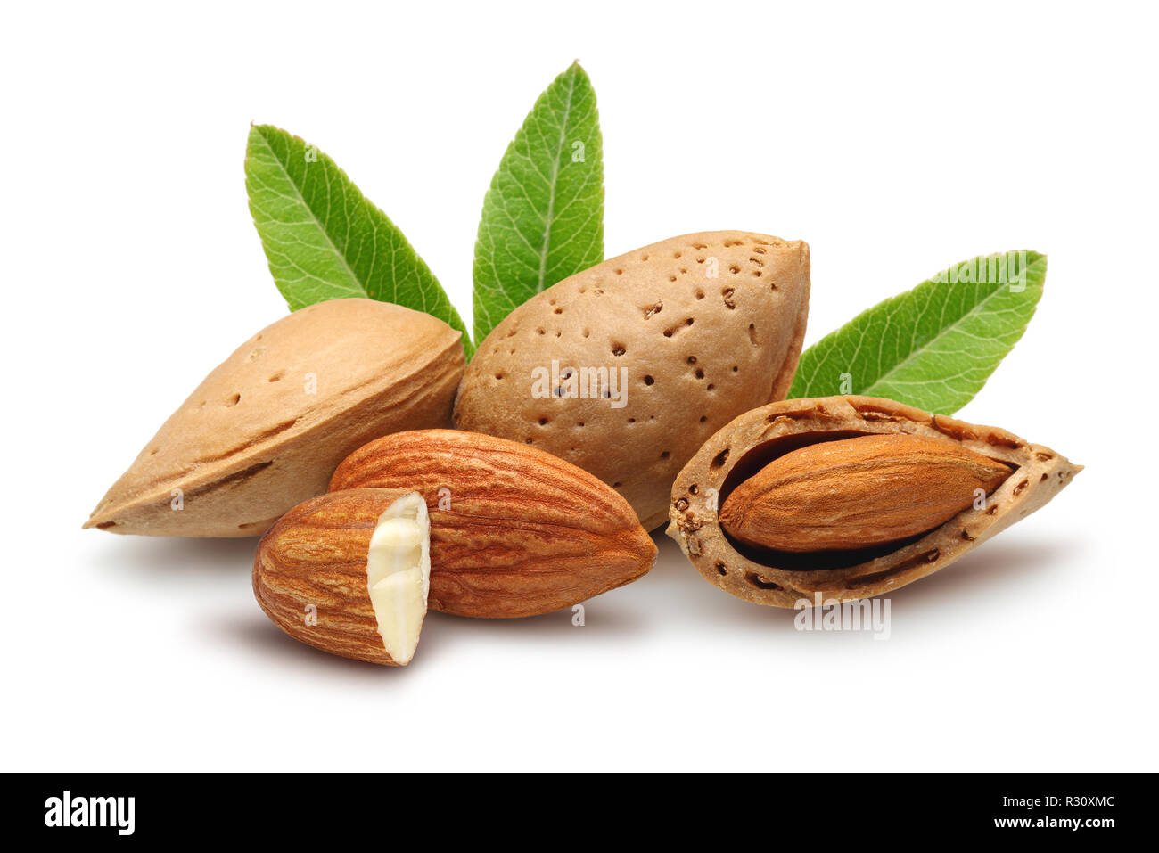Amandes avec des feuilles isolées sur fond blanc Banque D'Images