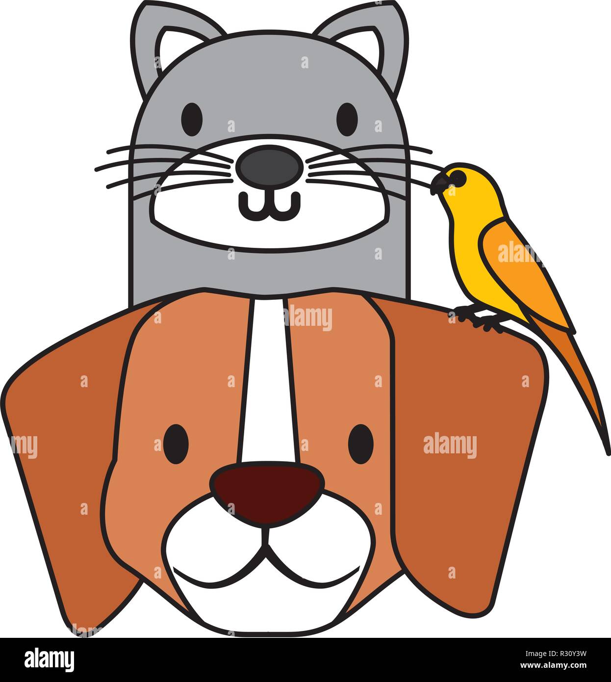 Animaux domestiques chien et chat canary bird vector illustration Illustration de Vecteur