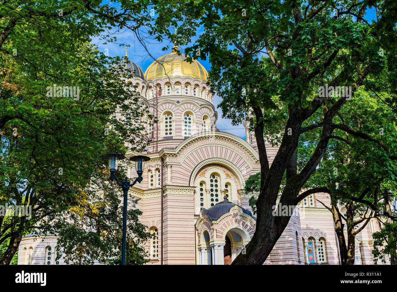 Les dômes dorés de la Nativité du Christ Cathédrale entre les arbres. Riga, Lettonie, Pays Baltes, Europe. Banque D'Images