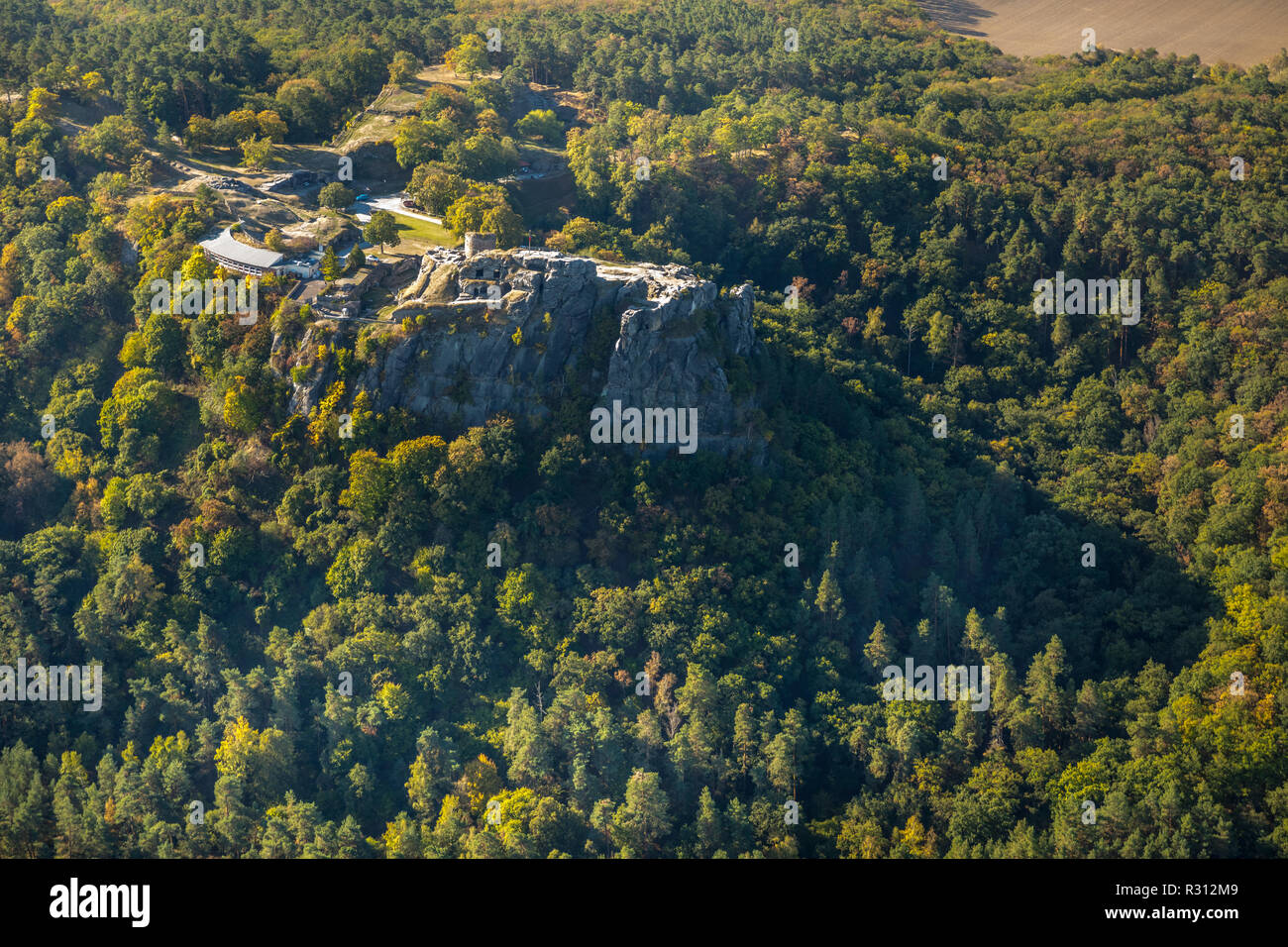 Luftbild Regenstein, Château et forteresse, suis Platenberg, Blankenburg (Harz), Blankenburg, Paderborn, Saxe-Anhalt, Allemagne, Europe, , DEU, Europe, bi Banque D'Images