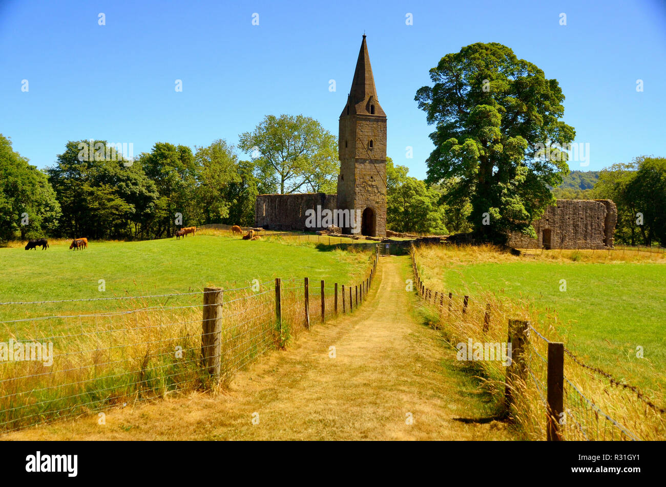 L'ancienne église du prieuré de Restenneth. Il est soupçonné d'avoir été fondée par Nechtan, roi des Pictes de 715 Banque D'Images