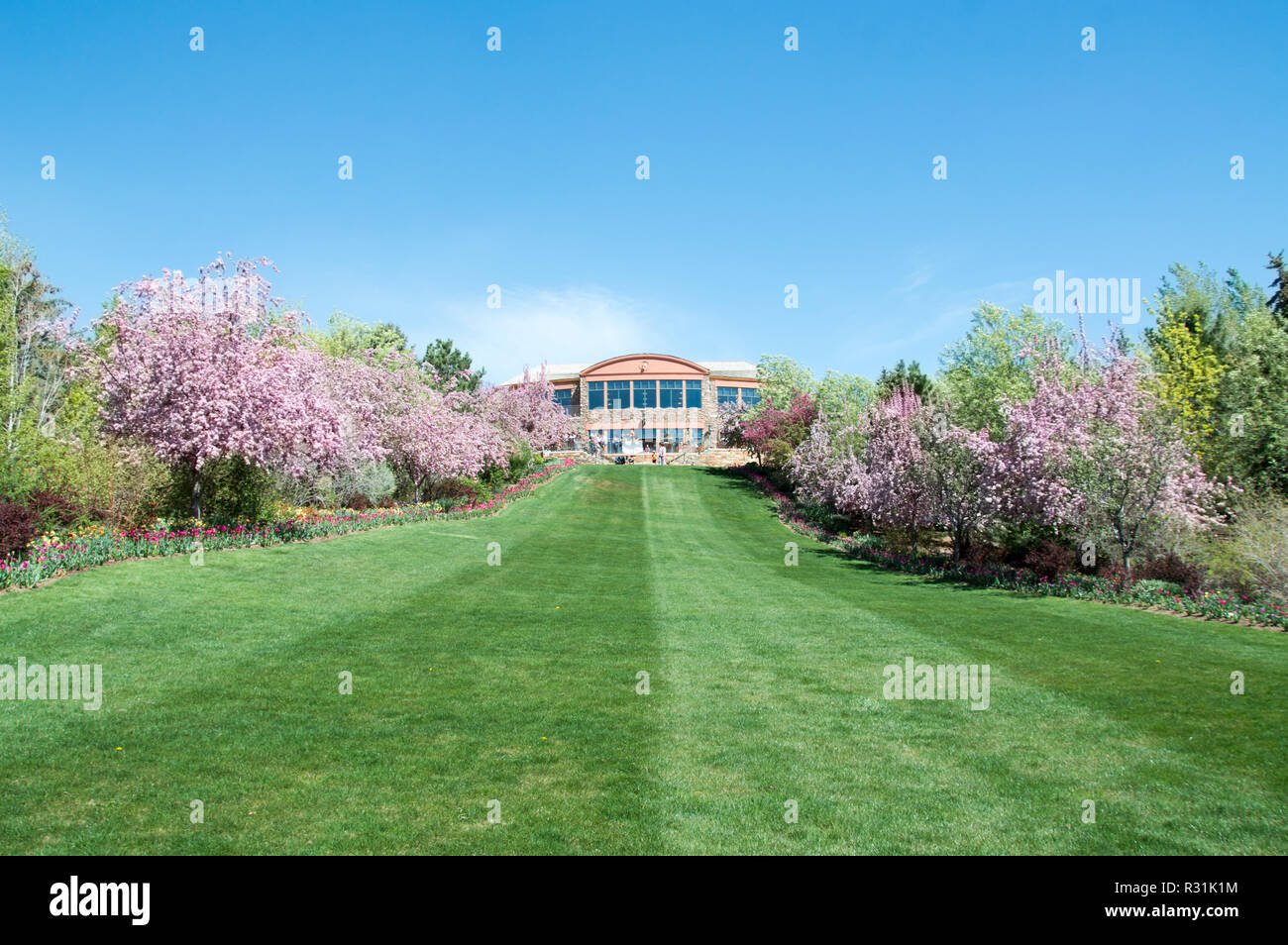 Une longue étendue de l'herbe verte bordée d'arbres menant à un bâtiment. Banque D'Images