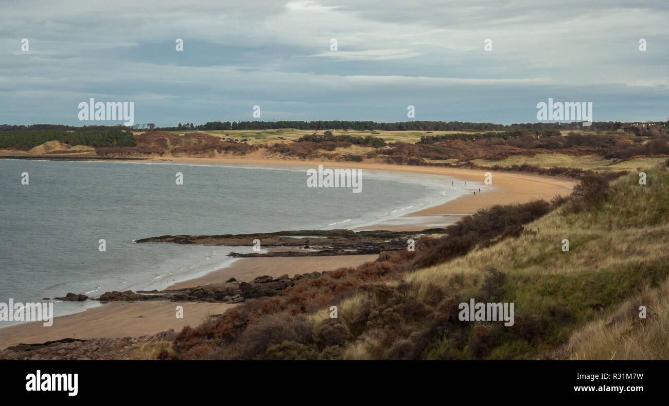 Seascape de Bouaye, la plage d'East Lothian en Écosse,, entouré par la végétation et l'herbe Banque D'Images