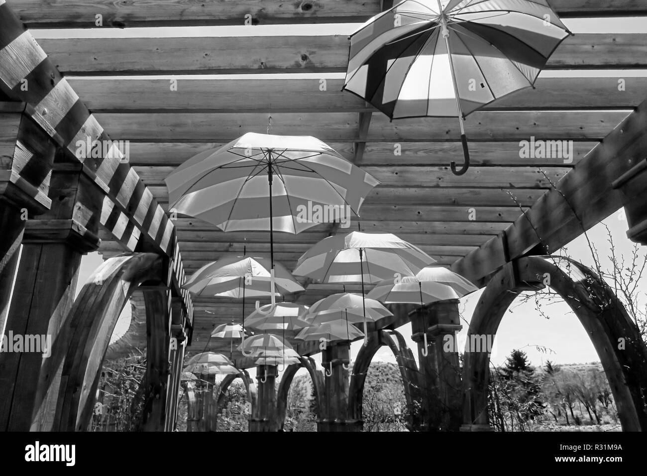 L'ombre d'un arbre en bois bordée d'une rangée de parasols colorés. Banque D'Images