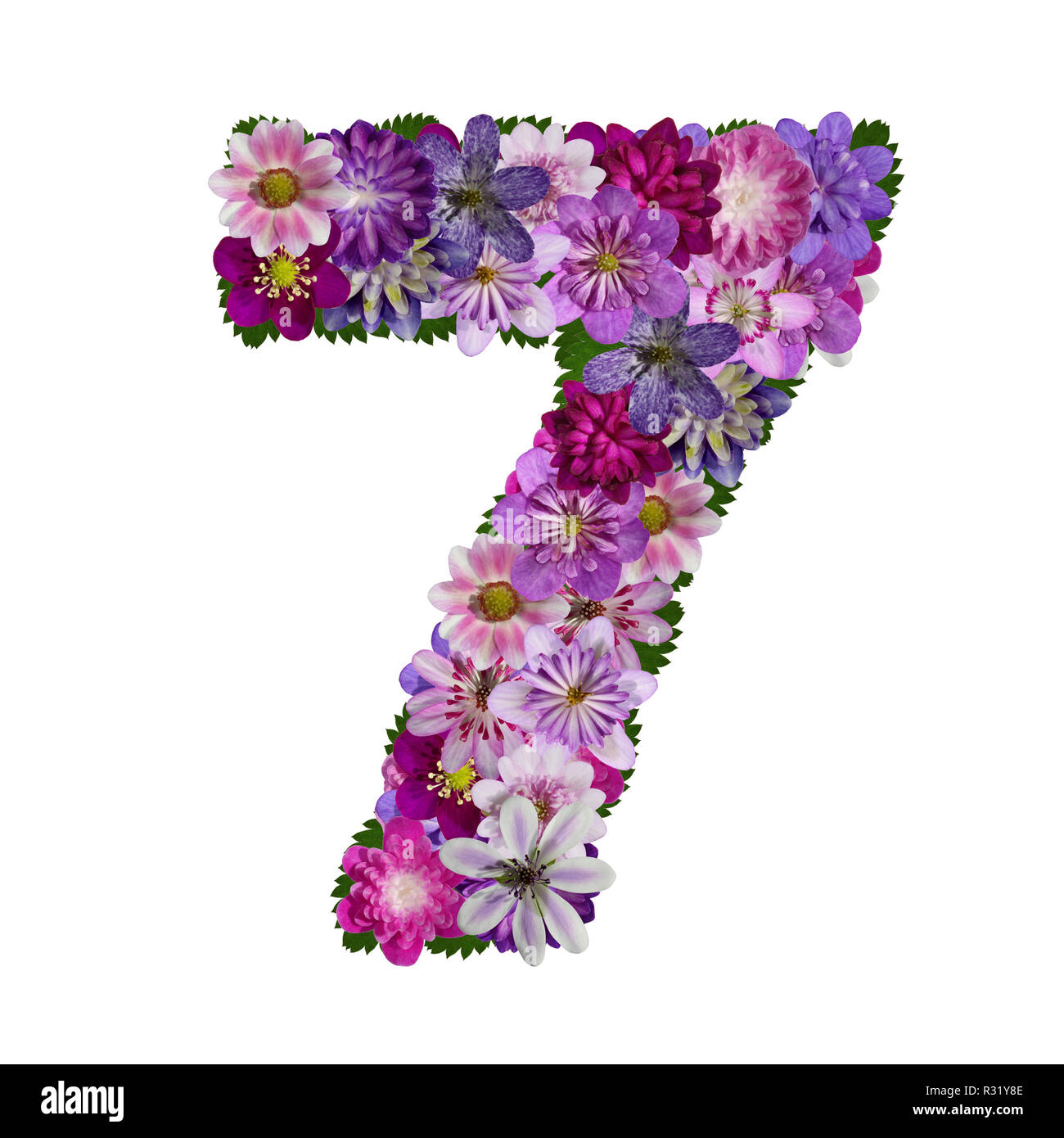 Numéro 7 de l'alphabet de fleurs Banque D'Images