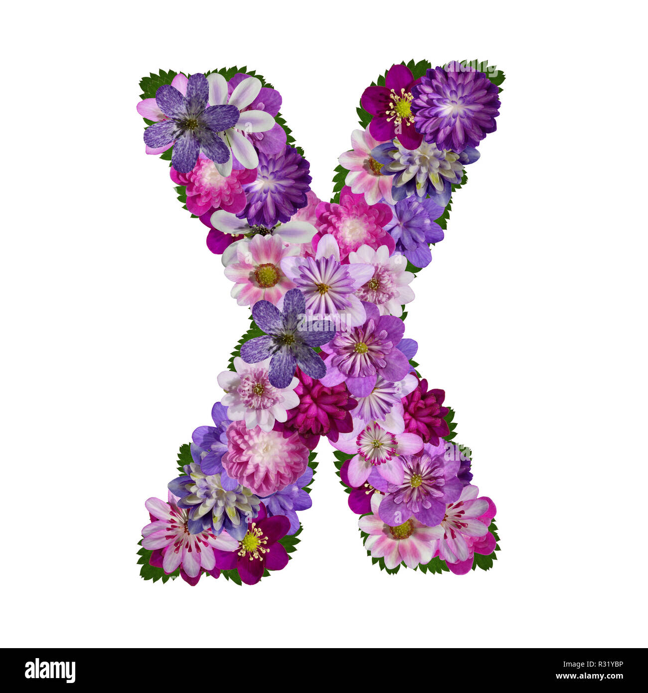 Alphabet lettre x fleurs Photo Stock - Alamy