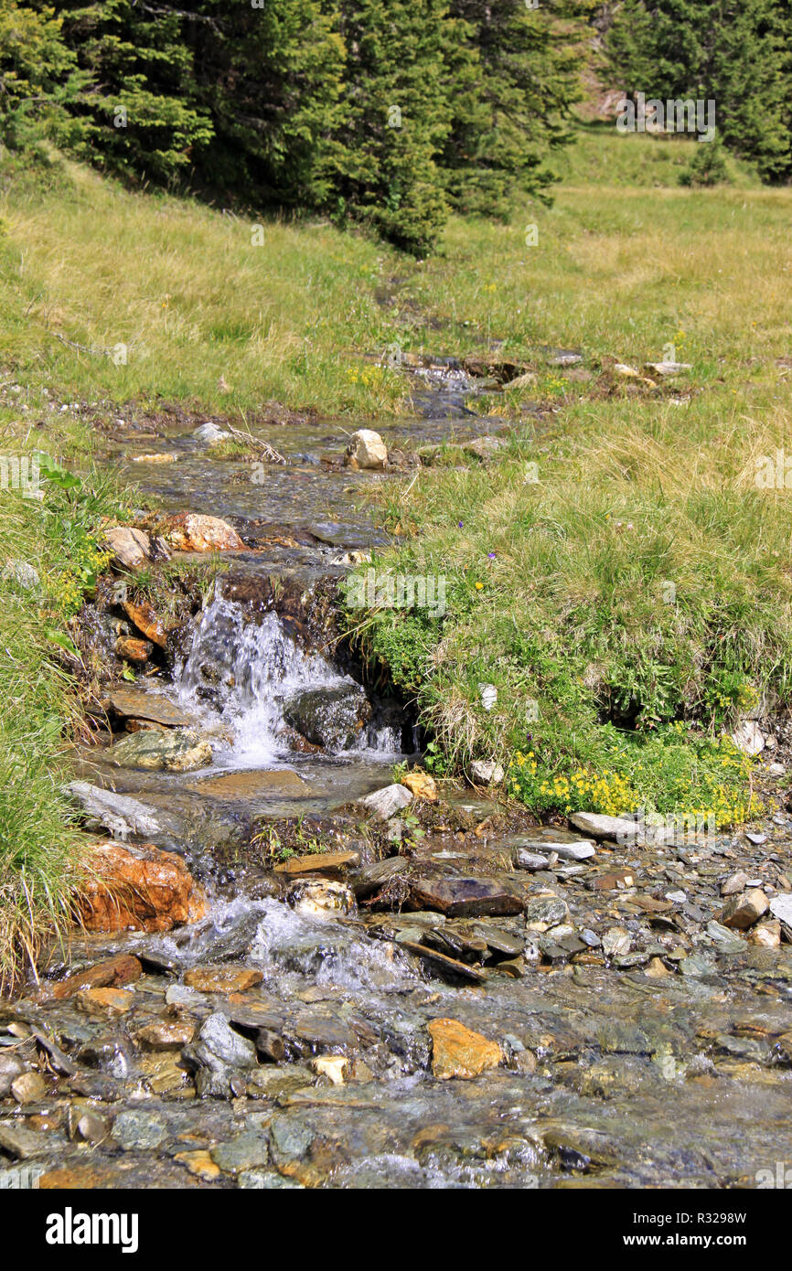 Flux source sur mountain meadow Banque D'Images