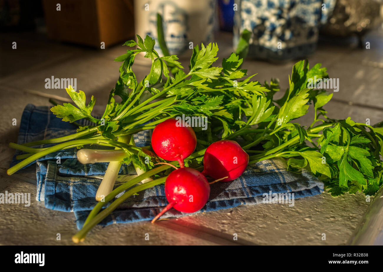 Radis, l'oignon vert, le persil pour une salade Banque D'Images