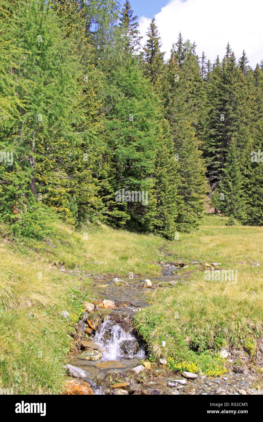 Source bouillonnante stream Banque D'Images