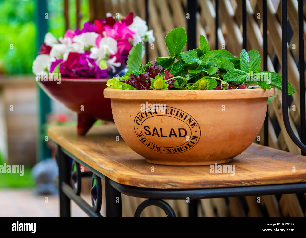 Pots en plastique recyclé, jardinage, salades de plus en plus recyclé upcycled saladier en extérieur dans jardin sur étagère adapté Banque D'Images