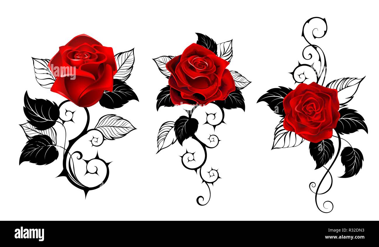 Dessin Rose Avec Tige Tatouage Tattoo rose Banque d'images vectorielles - Alamy