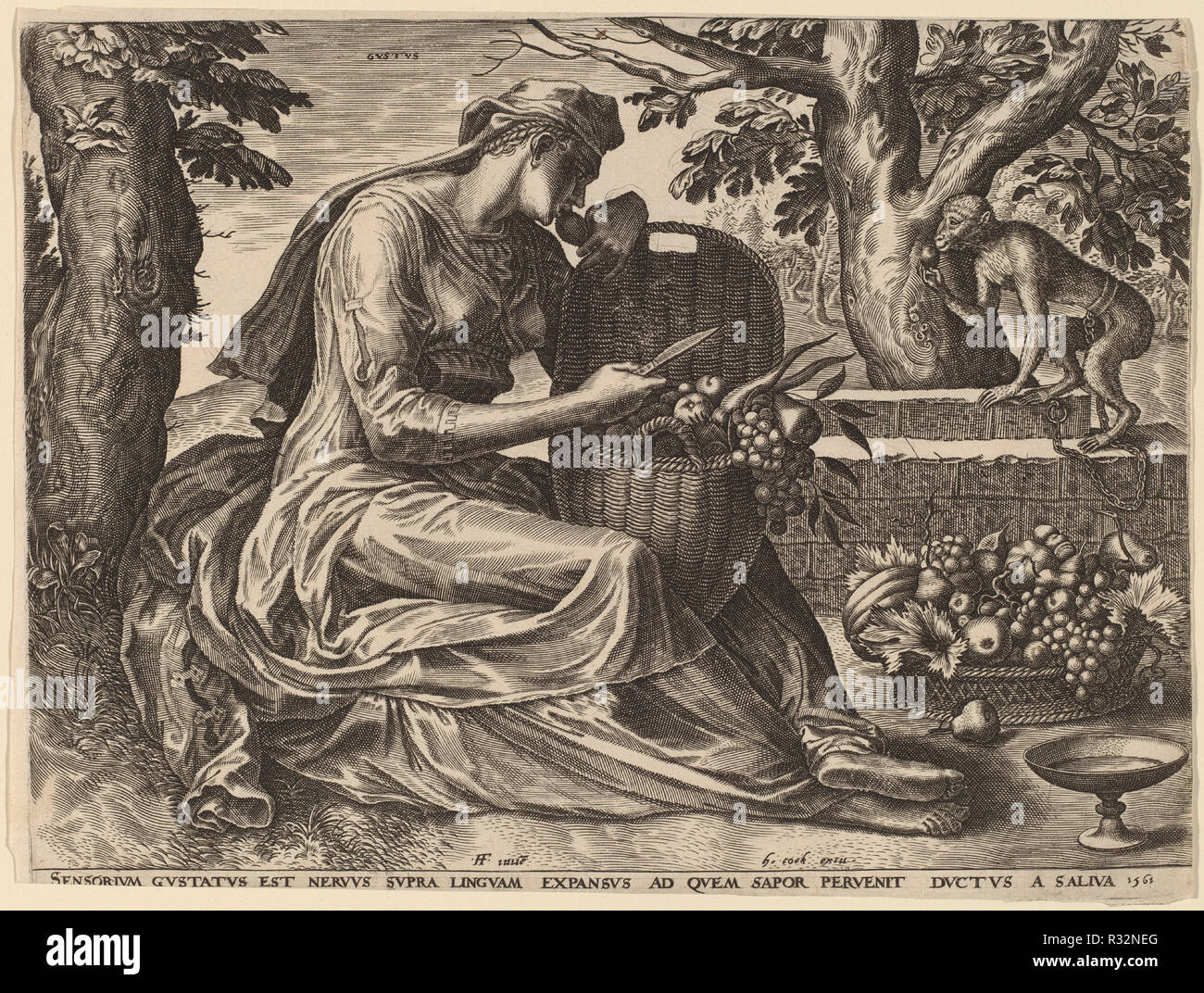 Gustus. En date du : 1561. Technique : gravure. Musée : National Gallery of Art, Washington DC. Auteur : Cornelis Cort après Frans Floris I. Banque D'Images