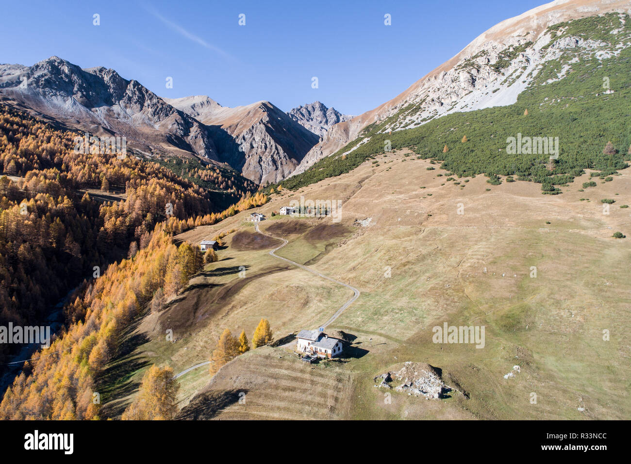 En automne, la montagne de la vallée Federia. Champs et forêt de Livigno Banque D'Images