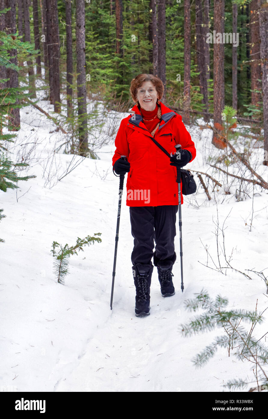 42 760,00694 randonnée randonneur femme et de s'amuser profiter de la beauté des paysages enneigés dans une forêt de conifères en hiver, le Parc National Jasper, vertical Banque D'Images