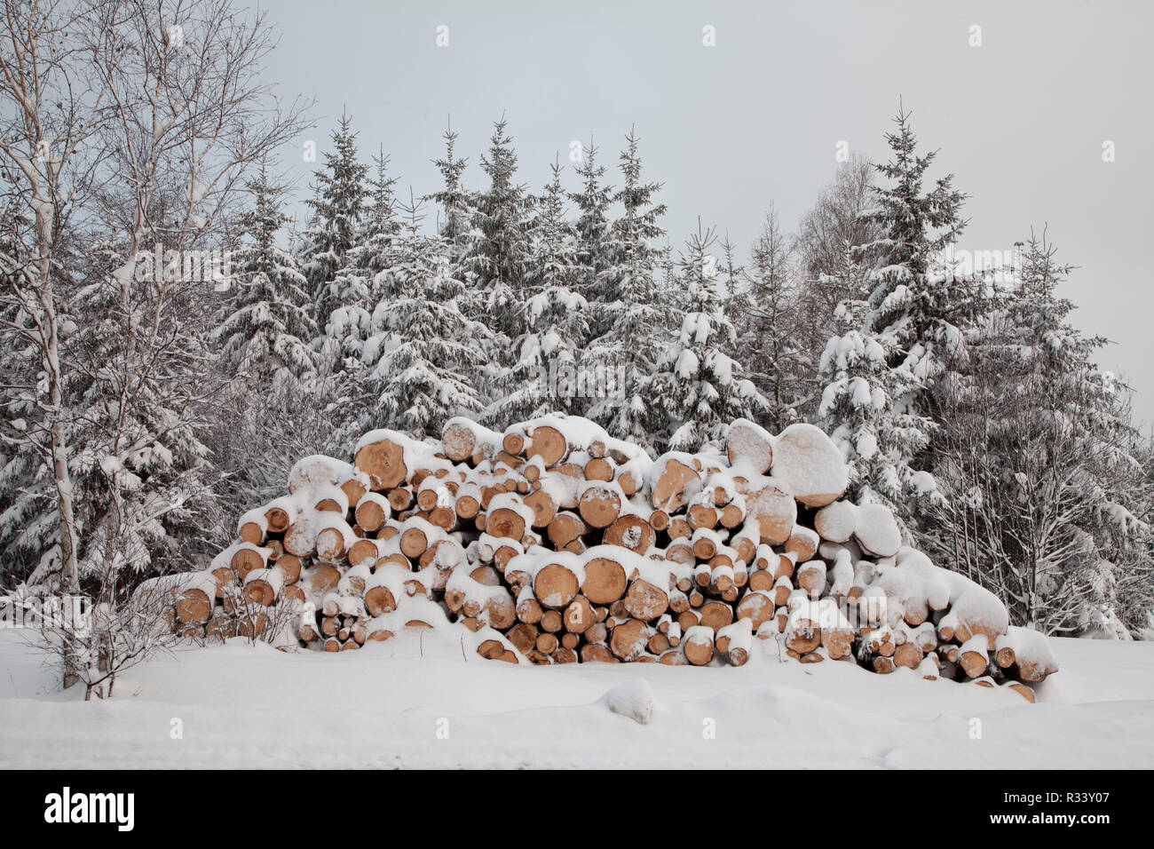 Langholz en hiver neige Banque D'Images