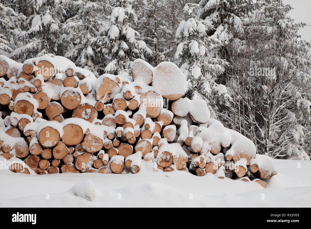 Marchand en hiver neige Banque D'Images