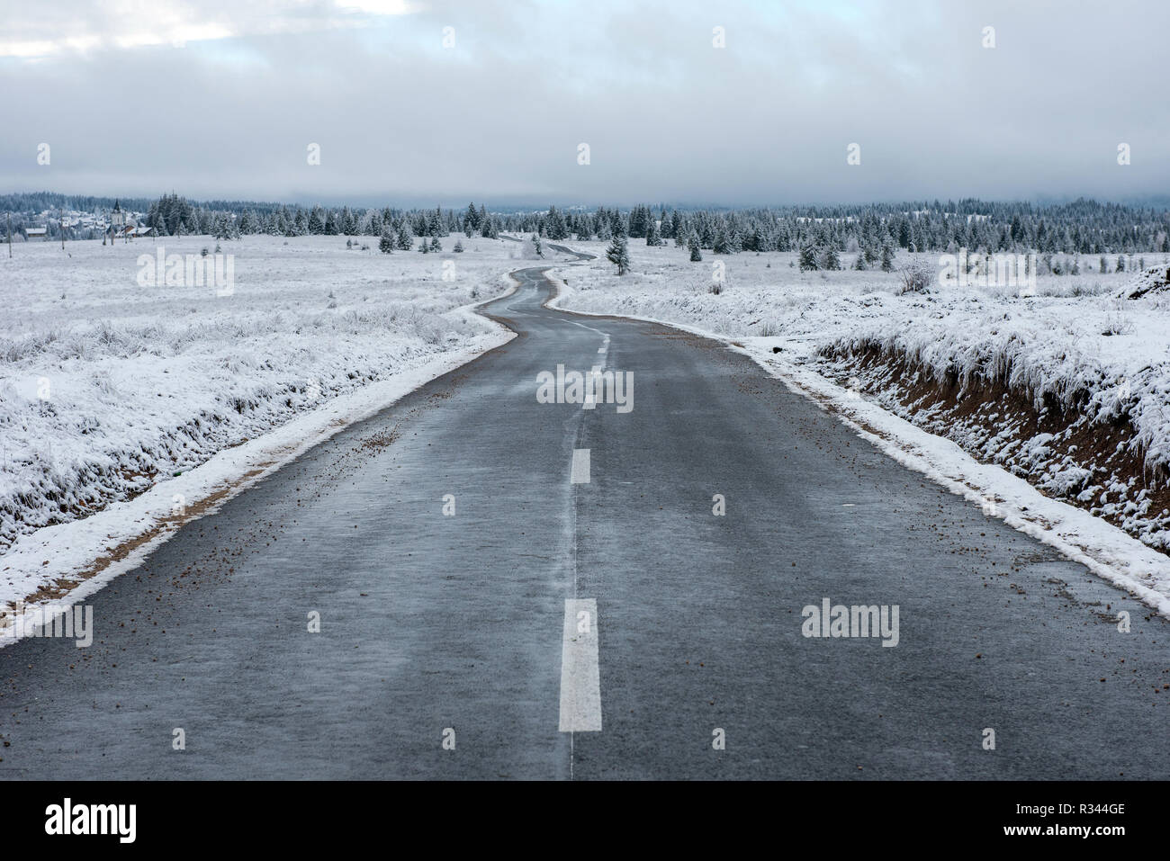 Route asphaltée d'hiver dans la forêt couverte de neige Banque D'Images