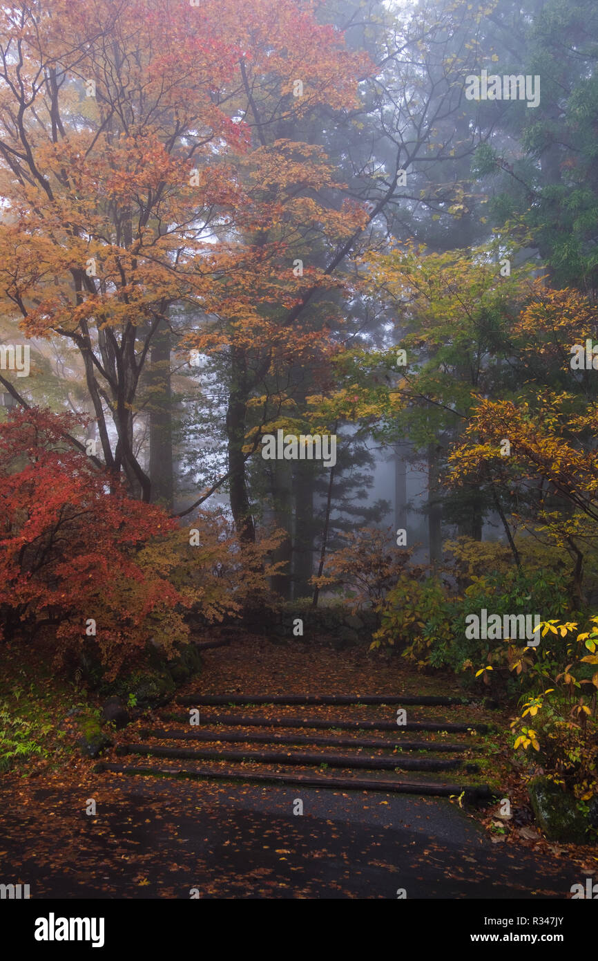 Escaliers en pierre dans une brume, brouillard, au cours de la couleur de l'automne à Nikko, Japon. Banque D'Images