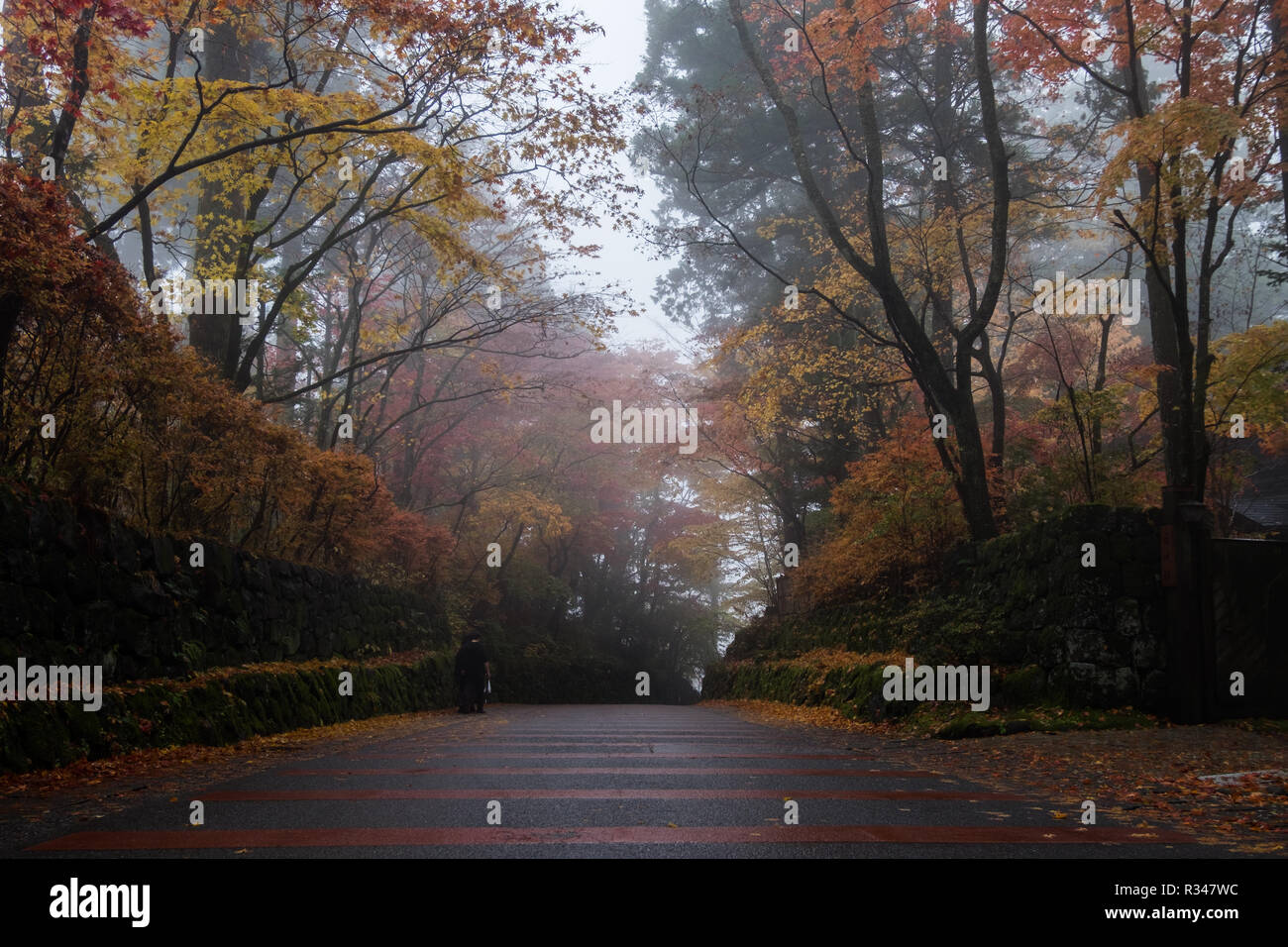 Une petite rue de Nikko Japon avec plein de couleurs de l'automne et en tournant les feuilles sur un jour brumeux, Misty. Banque D'Images