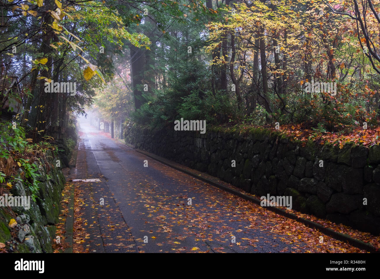 Une petite allée, street, lan à Nikko, Japon à la hauteur de la couleur de l'automne, feuille de changer. Strong leader bas de la ruelle. Banque D'Images