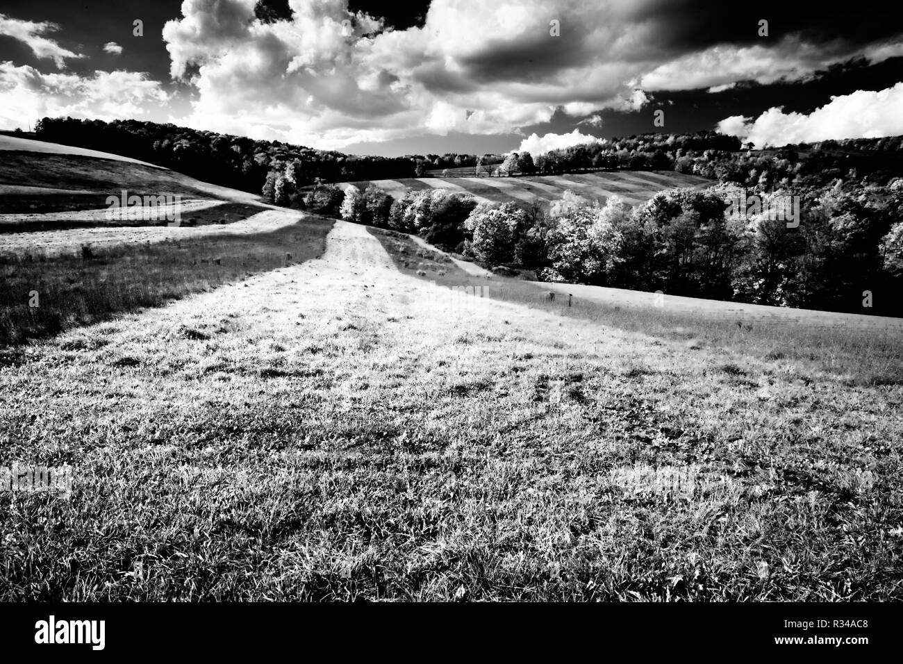 Vue paysage de terre agricole dans uppstate New York après que le champ a été partiellement coupé en lignes. Banque D'Images