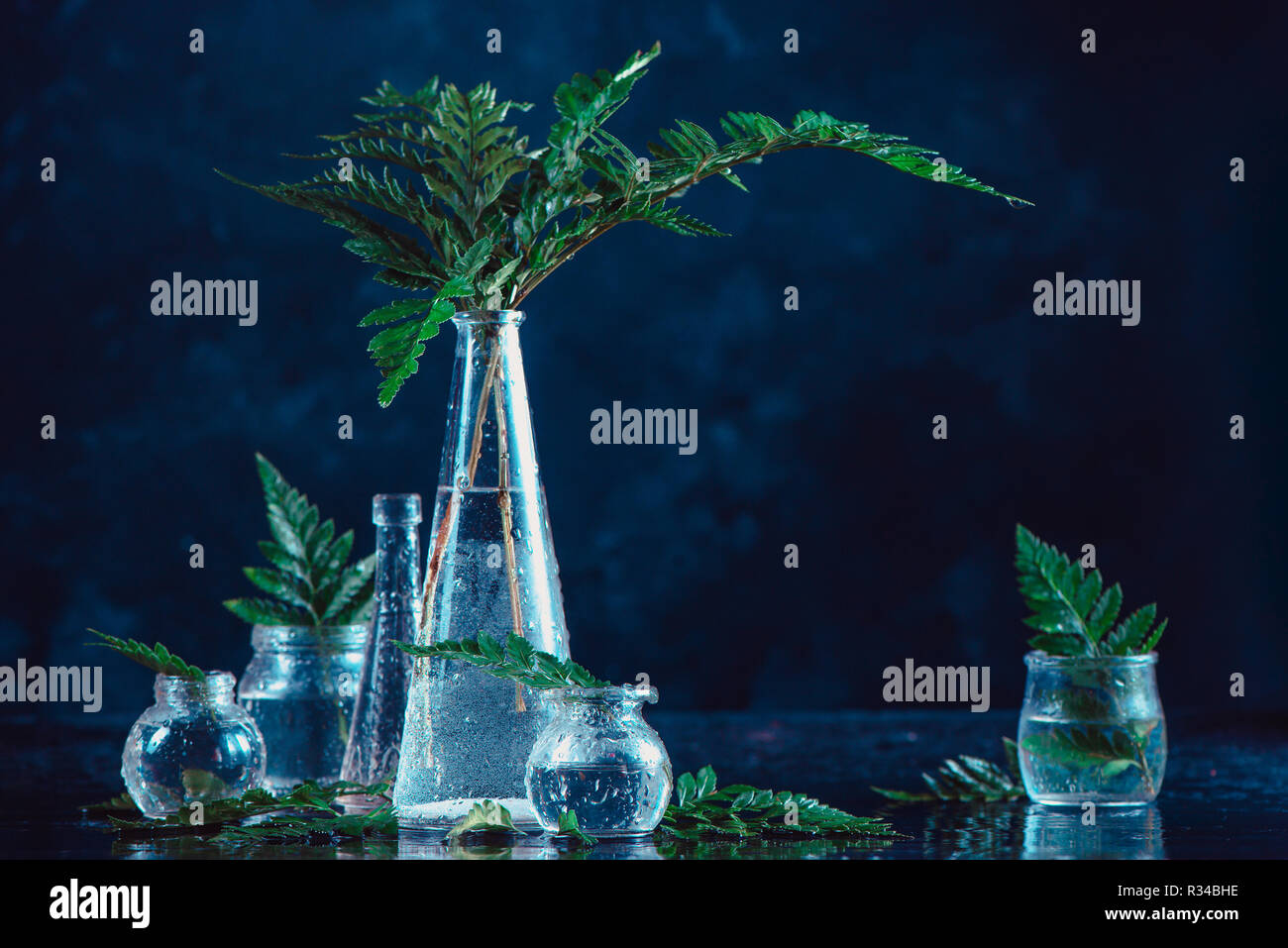 Bouteilles en verre clair et des vases avec des fougères vert sur un fond sombre. Décorations naturelles concept sur un fond sombre avec copie espace Banque D'Images