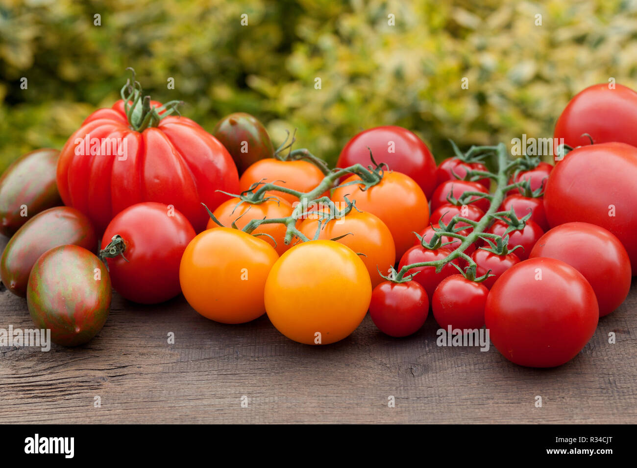 tomates fraîches Banque D'Images