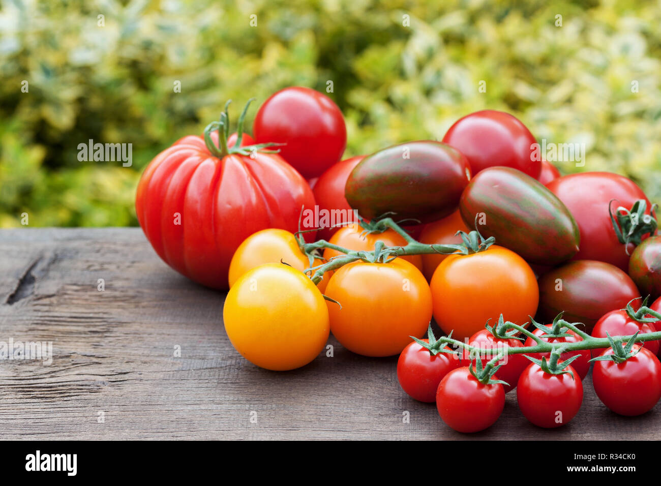 Tomates colorées Banque D'Images