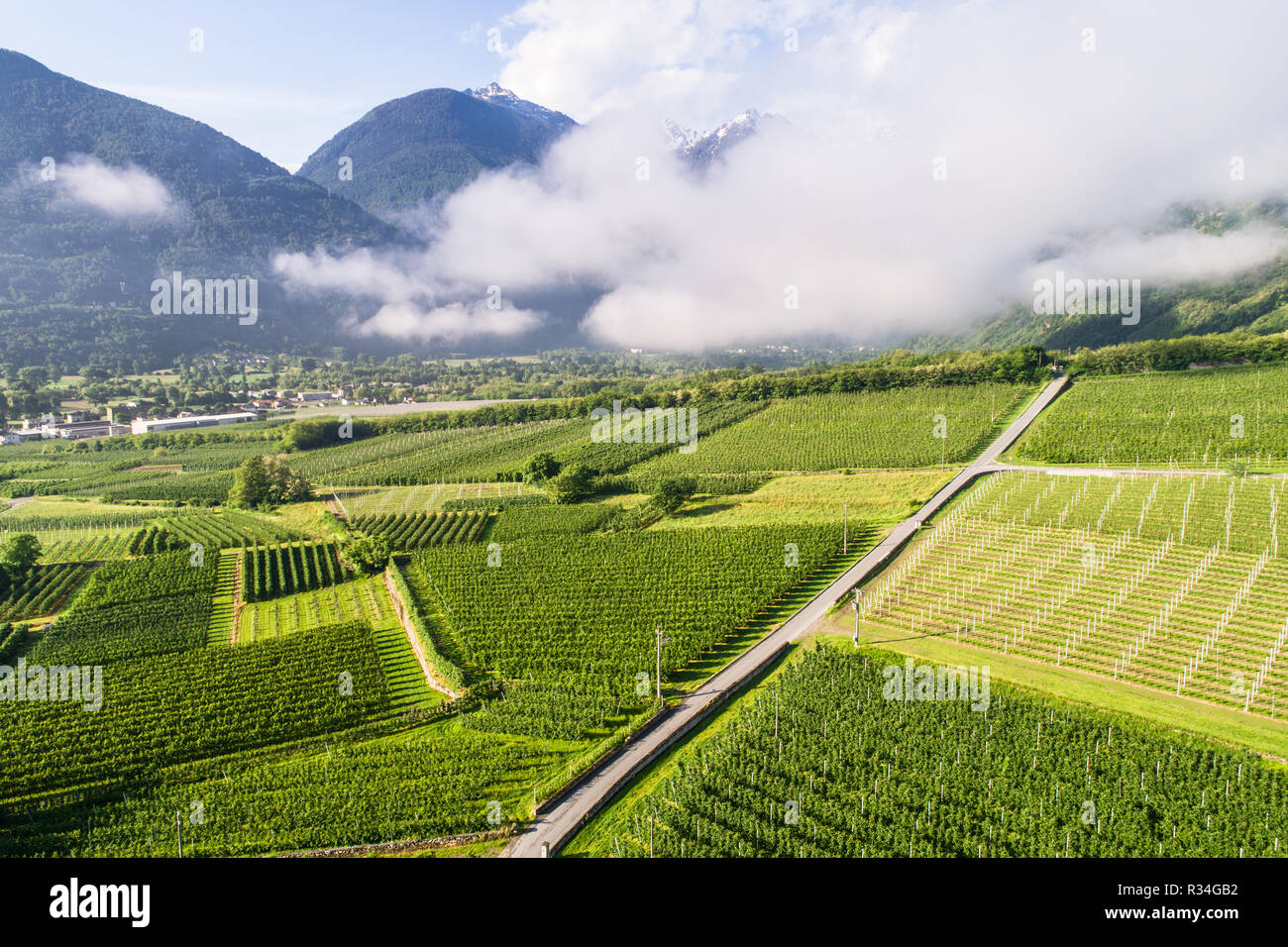 L'agriculture en Valteline - Vue panoramique avec drone Banque D'Images