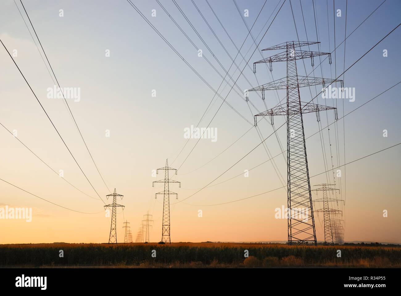 Plusieurs poteaux électriques avec des lignes au-dessus de la terre Banque D'Images