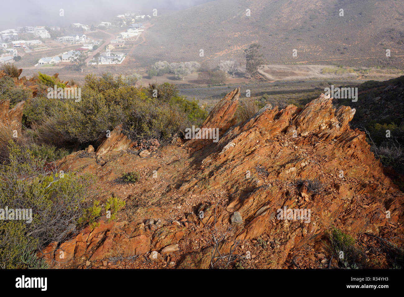 Le désert du Karoo National Botanical Garden à Worcester au pied de la rivière Hex Montagnes dans la province du Cap-Occidental en Afrique du Sud. Banque D'Images