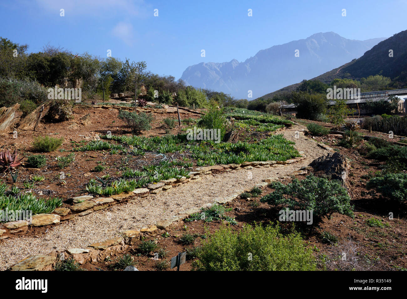 Un sentier pédestre dans le désert du Karoo National Botanical Garden à Worcester dans la province du Cap-Occidental en Afrique du Sud. Banque D'Images